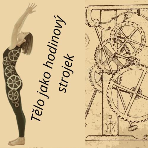 Jak chodidla ovlivňují celý pohybový systém?